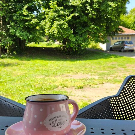 Apartment Holiday Vrnjačka Banja 외부 사진