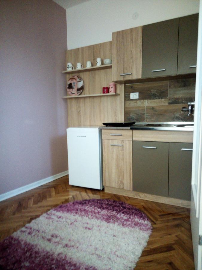 Apartment Holiday Vrnjačka Banja 외부 사진