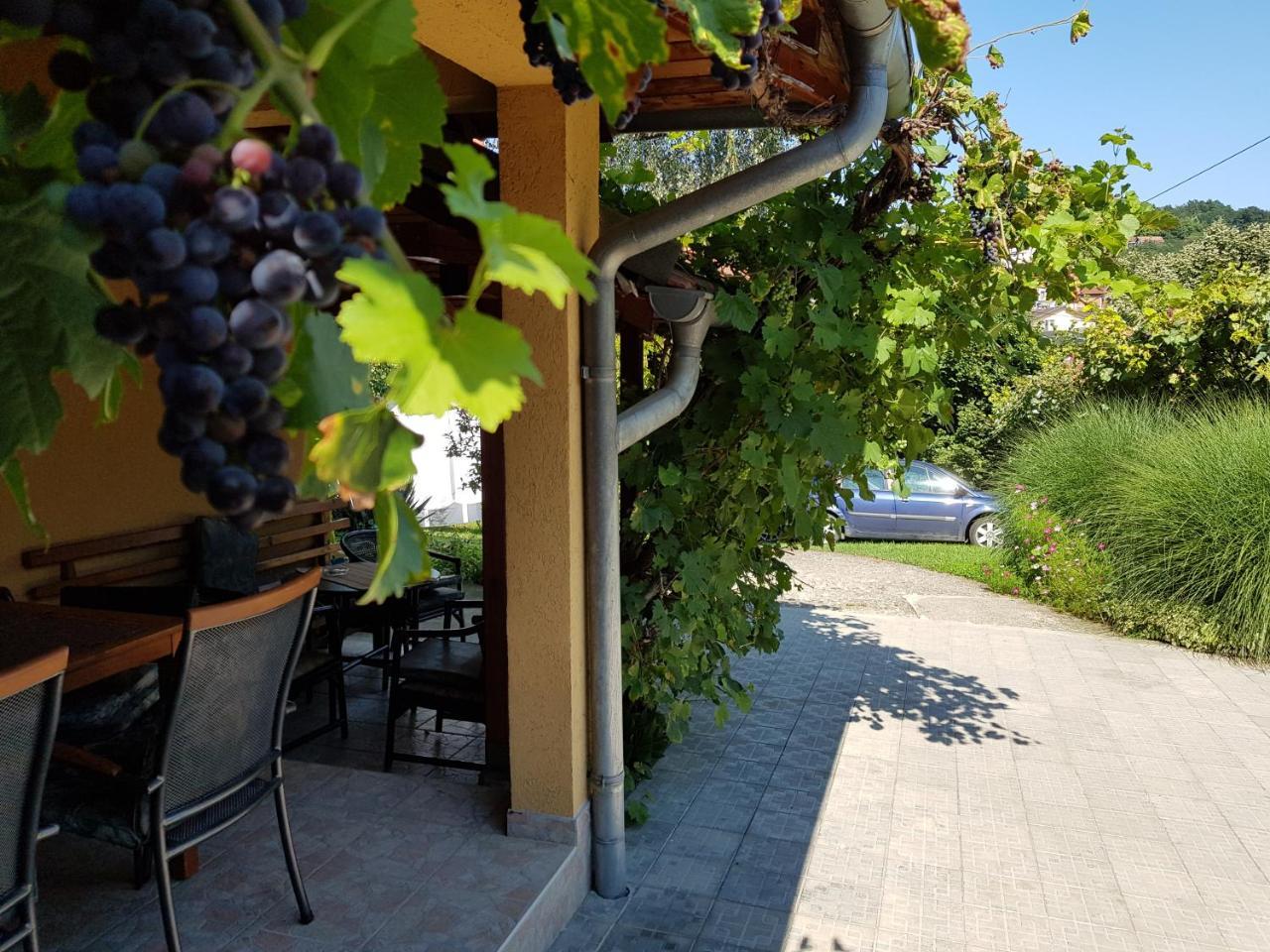 Apartment Holiday Vrnjačka Banja 외부 사진